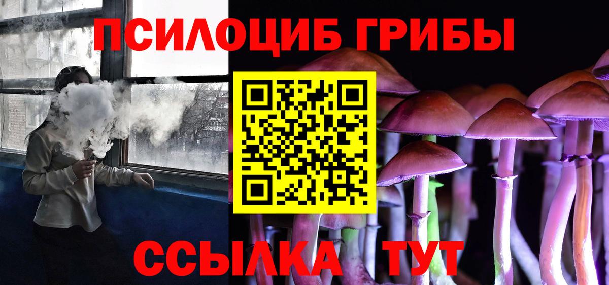 Галлюциногенные грибы Psilocybe  Вход с VPN  Великие Луки  Галлюциногенные грибы Psilocybe 