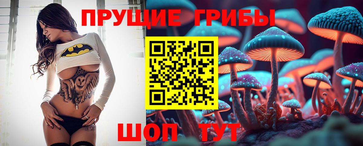 Псилоцибиновые грибы мухоморы Великие Луки